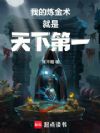 我的炼金术就是天下第一!