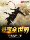 寻宝全世界